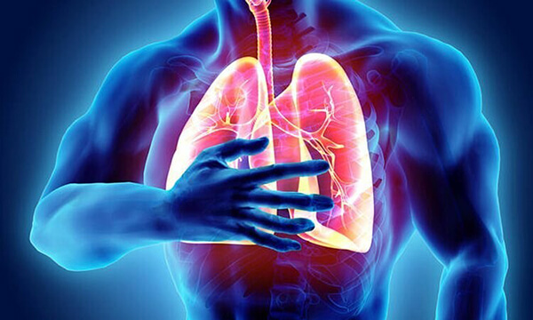 đông trùng hạ thảo có bổ phổi không