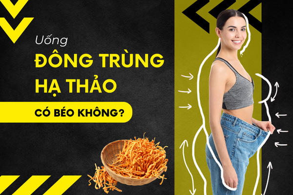 Uống đông trùng hạ thảo có béo không? Giảm cân ...