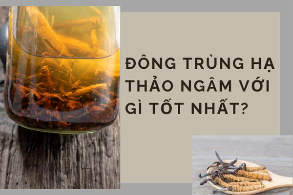 Đông trùng hạ thảo ngâm với gì tốt?  5+ cách ...