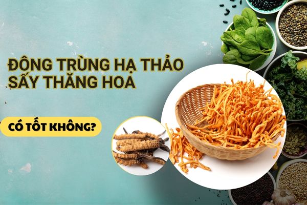 Đông trùng hạ thảo sấy thăng hoa là gì? Cách ...