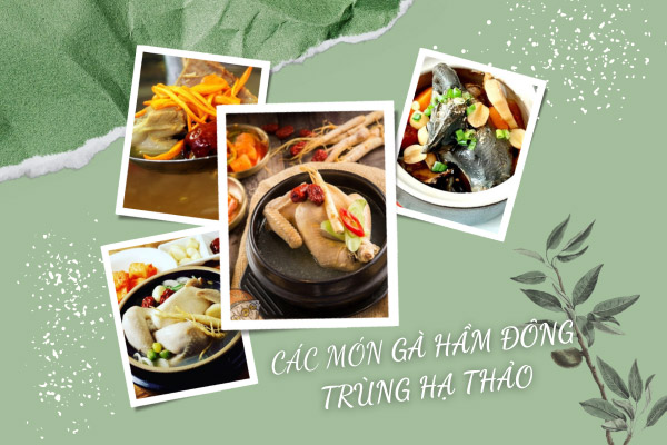 Cách nấu gà hầm đông trùng hạ thảo thơm ngon, ...