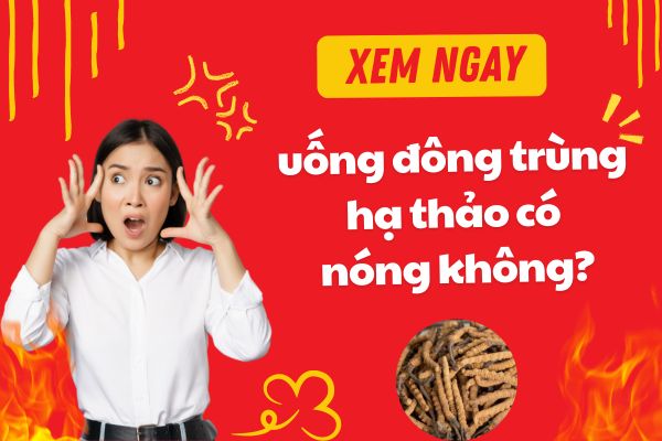 Uống đông trùng hạ thảo có nóng không? Có nổi ...