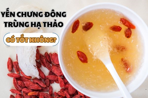 Cách làm yến chưng đông trùng hạ thảo bổ dưỡng ...